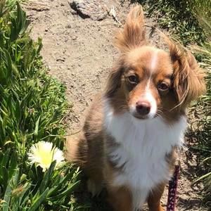 Meet your Posher, Ingrid